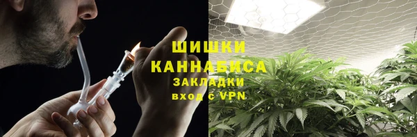 PSILOCYBIN Балахна