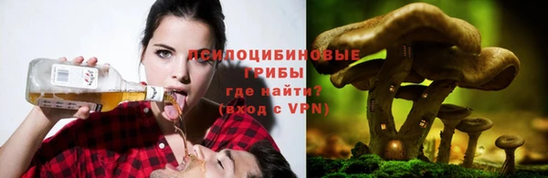 PSILOCYBIN Балахна