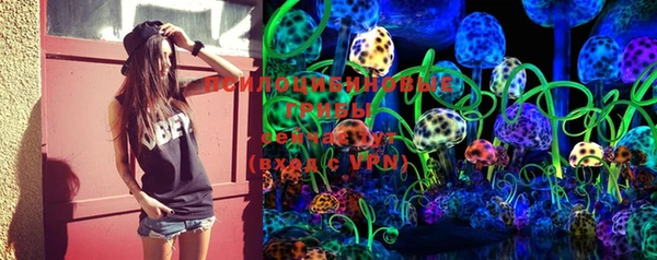 PSILOCYBIN Балахна