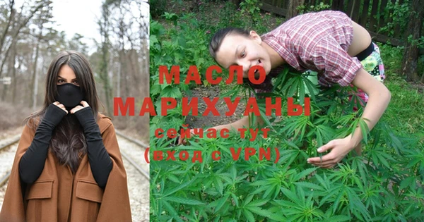 дмт Новозыбков