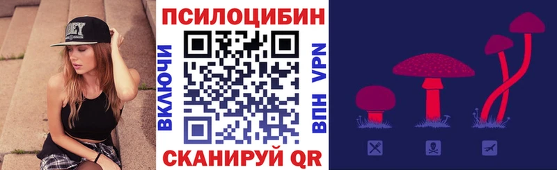 Псилоцибиновые грибы Cubensis kraken вход Воткинск