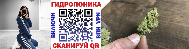 купить закладку  Воткинск  Марихуана Amnesia 